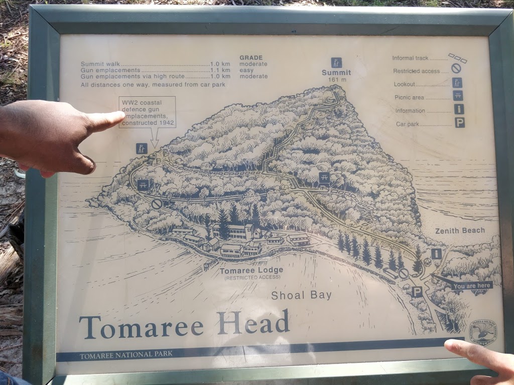 Tomaree Head Summit walk | tourist attraction | Shoal Bay Rd, Shoal Bay NSW 2315, Australia | 0249848200 OR +61 2 4984 8200