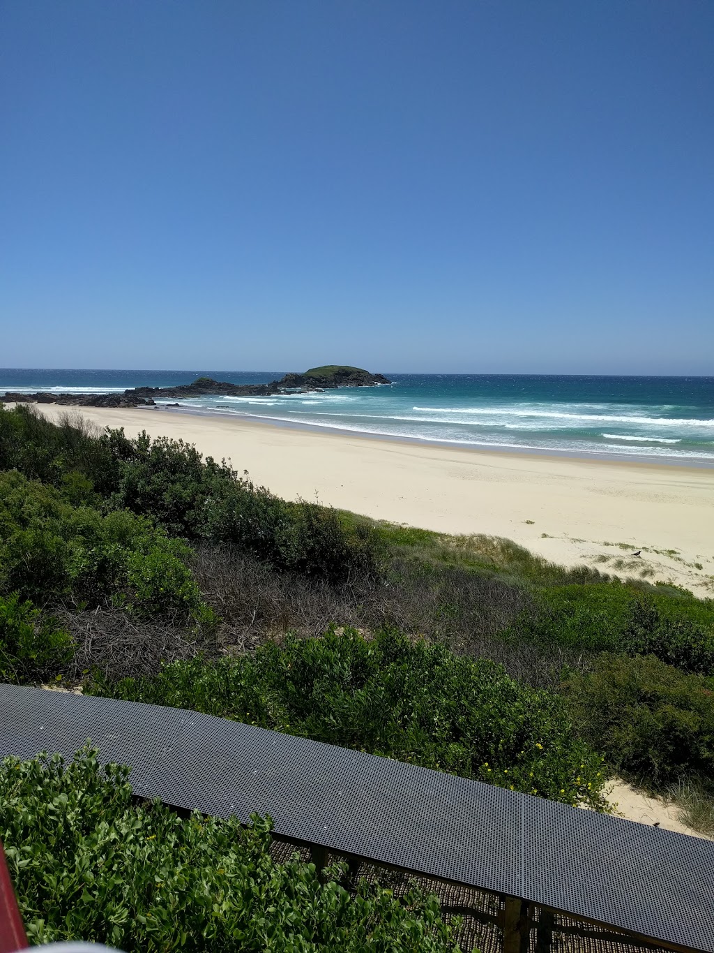 Delicate Nobby continues as Waves Campground | 954 Point Plomer Rd, Crescent Head NSW 2440, Australia | Phone: (02) 6566 0144