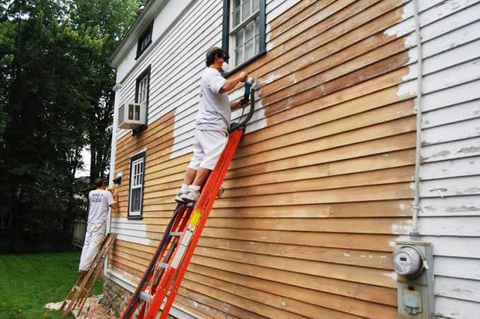 World class painting and renovations pty ltd | 62 Paterson Dr, Lynbrook VIC 3975, Australia | Phone: 0469 363 607