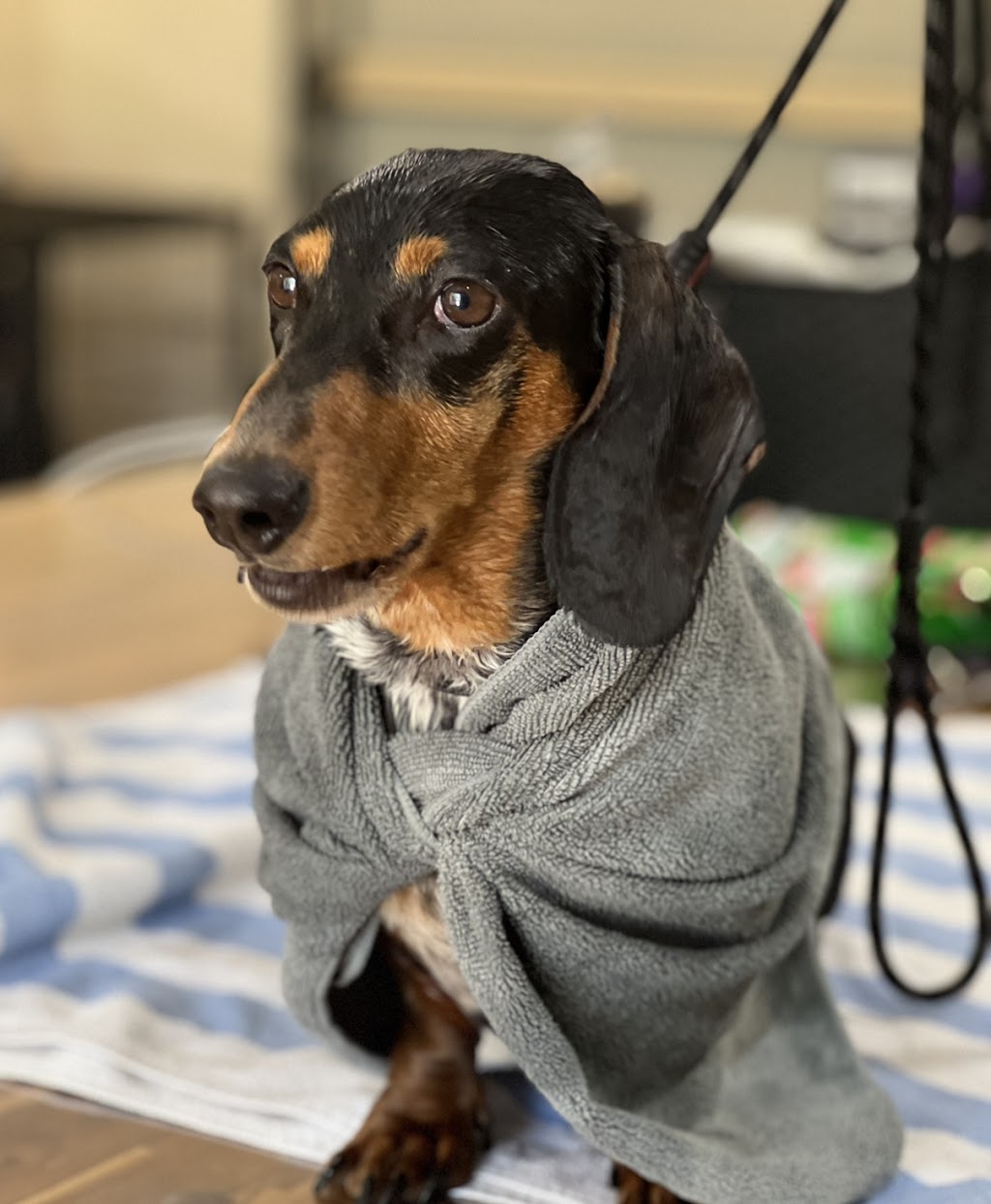 Barn House Co. | Lakes Dr, Laidley Heights QLD 4341, Australia | Phone: 0407 654 039