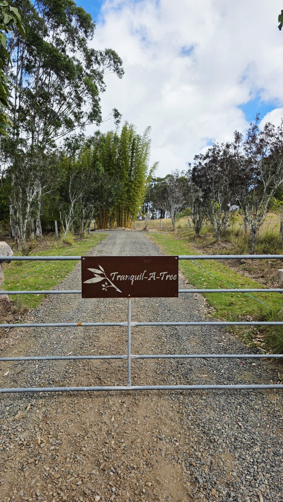 Tranquil-A-Tree | 49 Woodlea Ct, Crows Nest QLD 4355, Australia | Phone: 0410 446 076