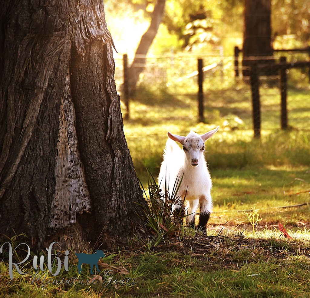 Lewina Homestead, Skincare & Wellness | 74 Jefkins Dr, Port Sorell TAS 7307, Australia | Phone: 0410 643 972
