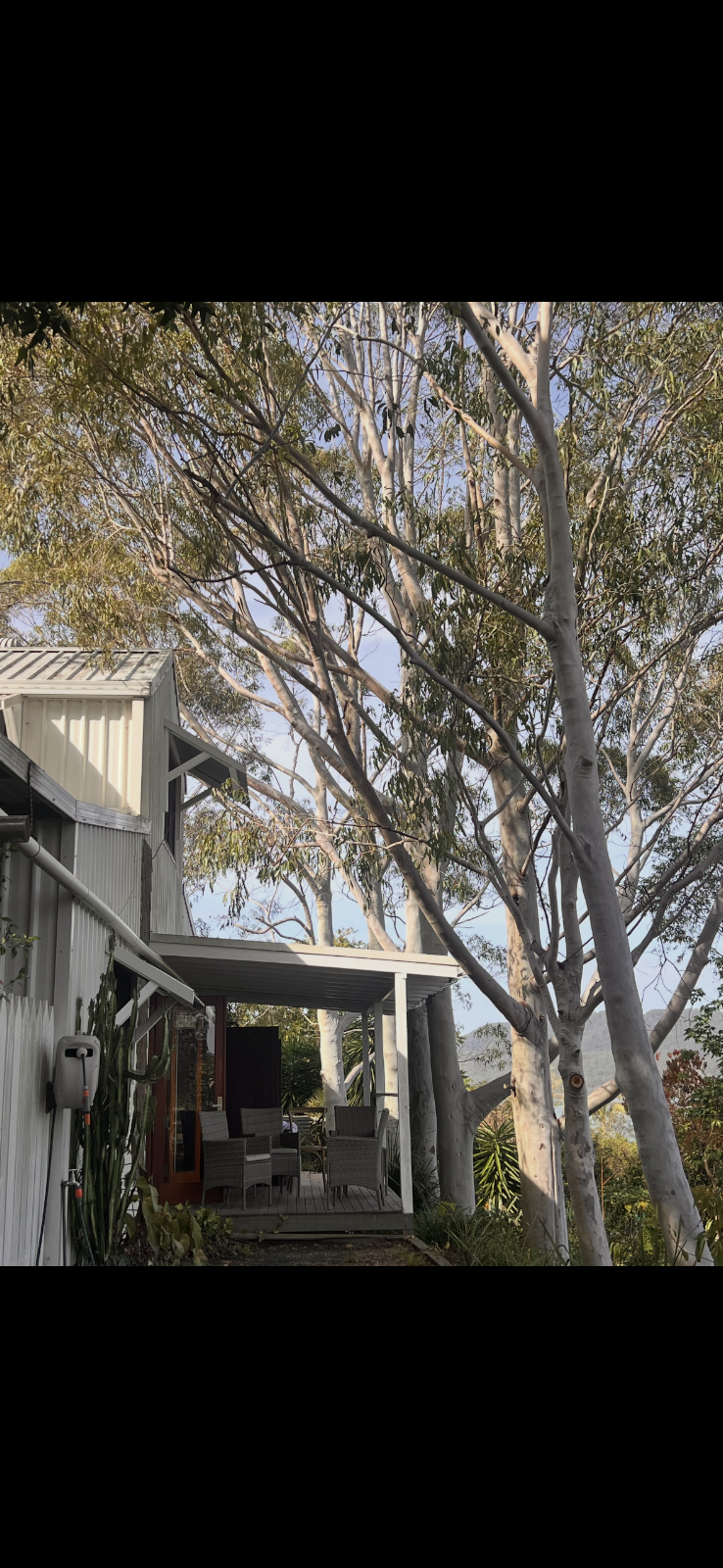 Rudy’s trees services | 18 Mill St, Krambach NSW 2429, Australia | Phone: 0403 641 599