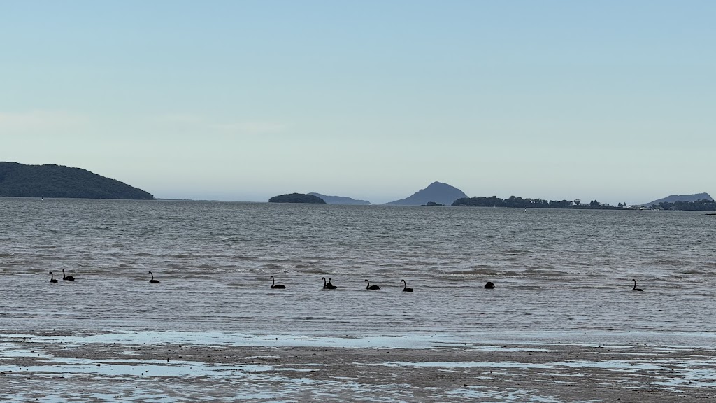 Trampoline Man | 121 Waterfront Rd, Swan Bay NSW 2324, Australia | Phone: 0439 484 703