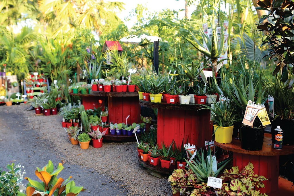 Oxley Nursery | 174 Dowding St, Oxley QLD 4075, Australia | Phone: (07) 3375 5390