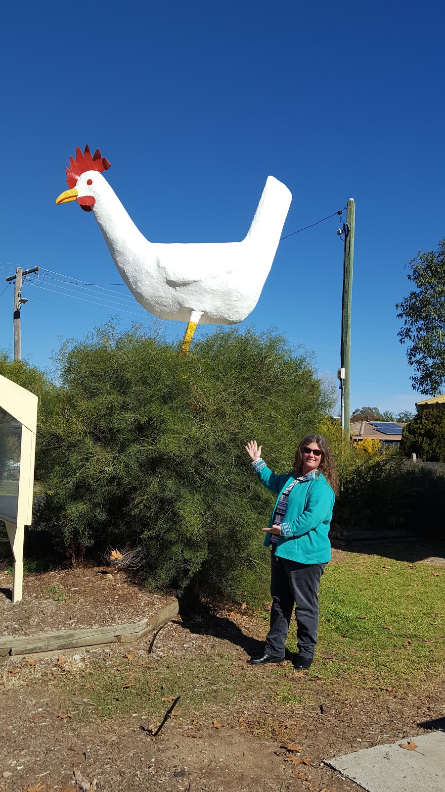 Big Chook | museum | 3 Park Ave, Moonbi NSW 2353, Australia