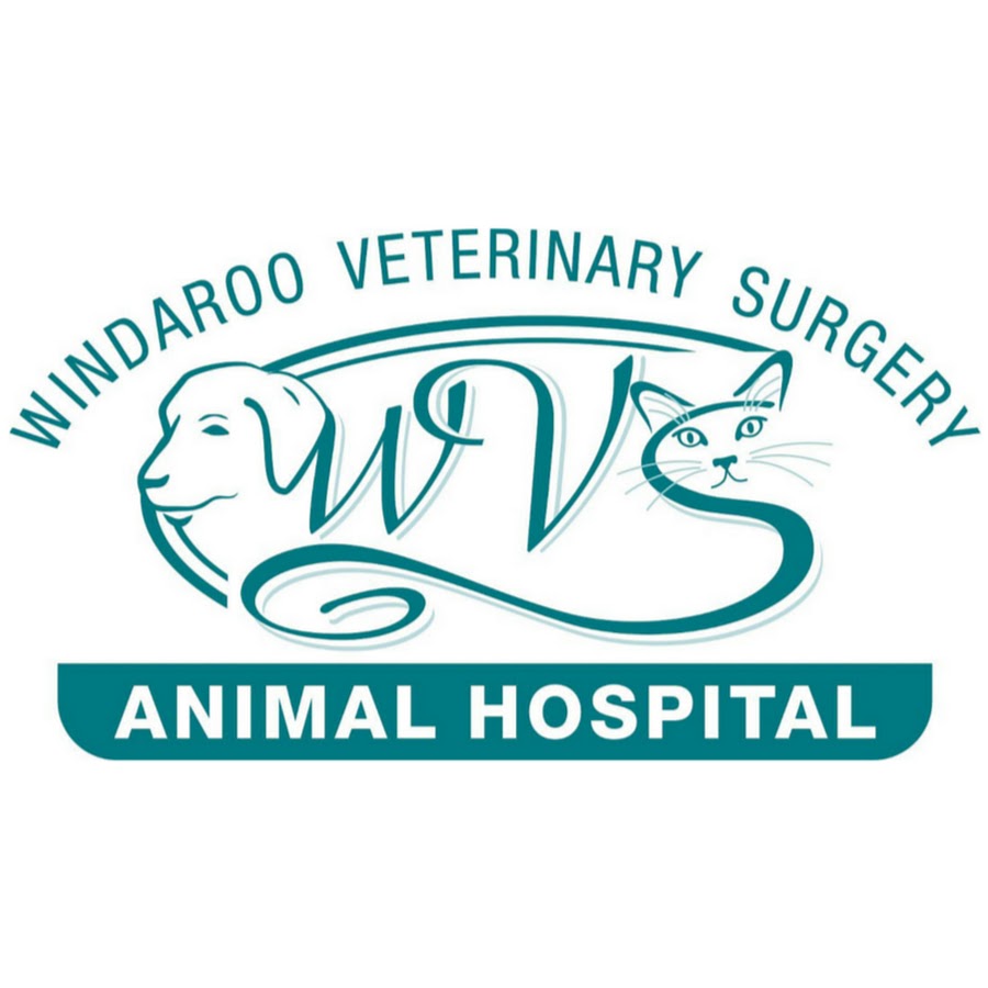 Windaroo Veterinary Surgery | 1 Janine Dr, Bahrs Scrub QLD 4207, Australia | Phone: (07) 3807 3699