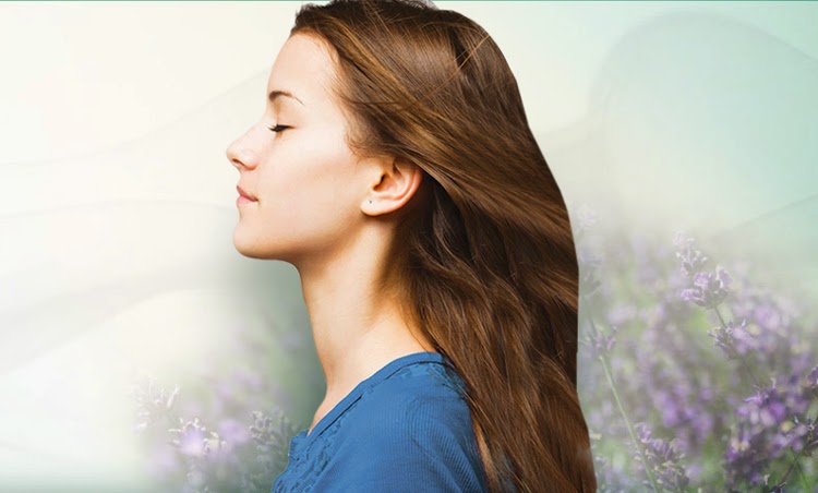 Transcendental Meditation Merimbula | health | 23 Kulbardi Cl, Bournda NSW 2548, Australia | 0414796846 OR +61 414 796 846