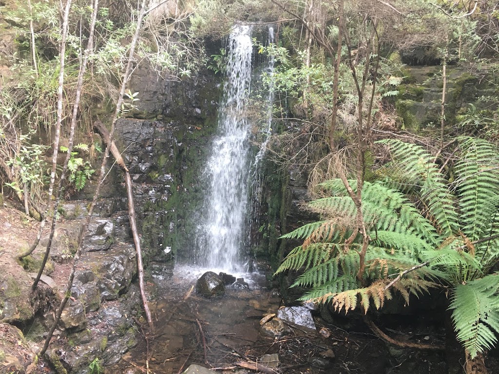 Strickland Falls | tourist attraction | Strickland Ave, South Hobart TAS 7004, Australia | 0362382711 OR +61 3 6238 2711