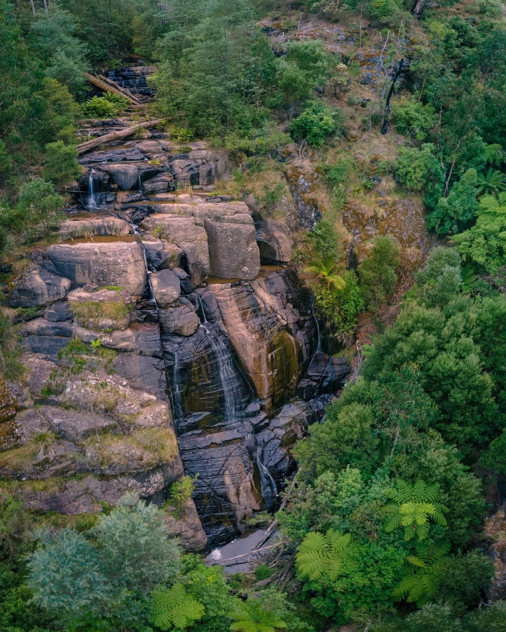 Masons Falls Observation Platform | Kinglake West VIC 3757, Australia | Phone: 13 19 63