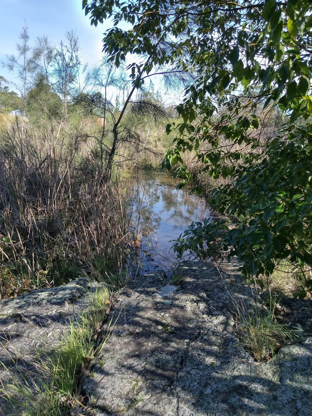 Boomerang Park | park | Irrawang St, Raymond Terrace NSW 2324, Australia