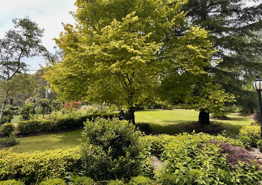 Eucalyptus Psychology | 28A Chalet Rd, Olinda VIC 3788, Australia | Phone: (03) 8740 3754