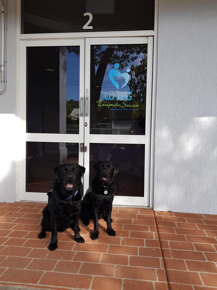 WAG Therapy - Psychologists | Unit 2/32 Dixon St, Strathpine QLD 4500, Australia | Phone: (07) 3164 6500