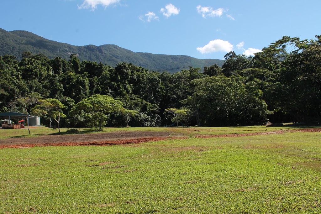 Daintree Rainforest Observatory, James Cook University | Cape Tribulation QLD 4873, Australia | Phone: (07) 4098 0005