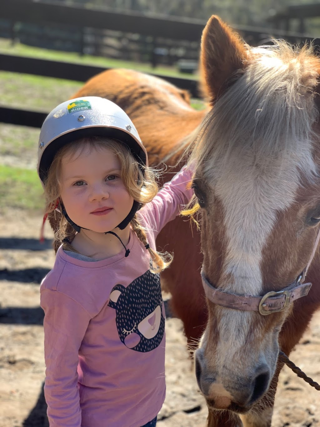 The Outlook Riding Academy | Gate 2/256 Scenic Hwy, Terrigal NSW 2260, Australia | Phone: 0427 189 567