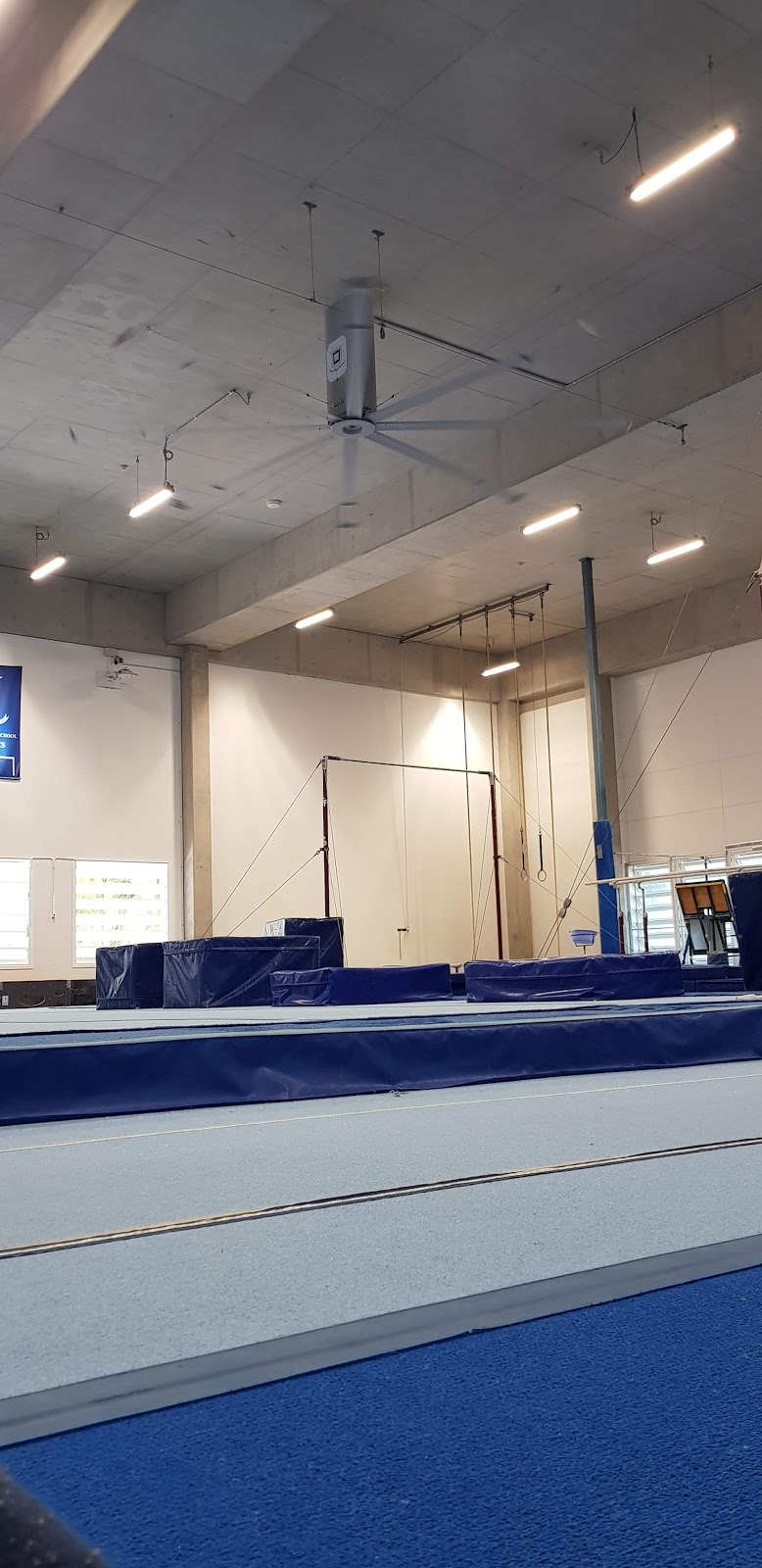 Brisbane Grammar School Gymnastics Club |  | Gregory Terrace, Spring Hill QLD 4000, Australia | 0738345325 OR +61 7 3834 5325