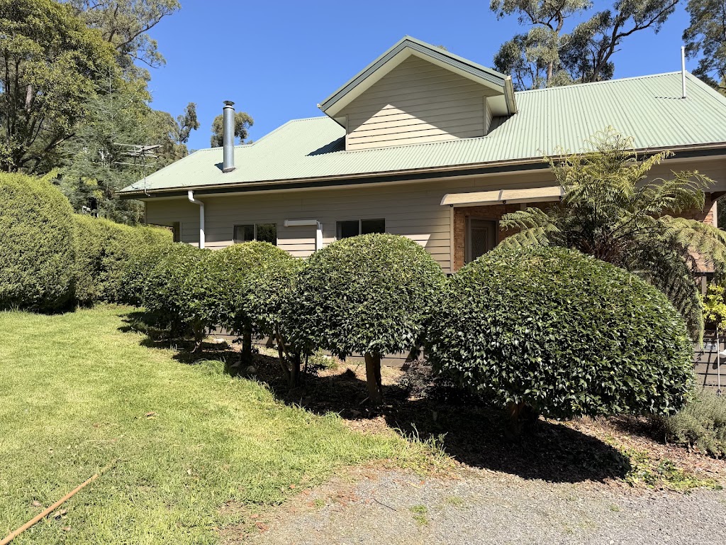 Davies Arboriculture | 135 Emerald-Monbulk Rd, Emerald VIC 3782, Australia | Phone: 0407 118 278