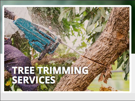 Woodstock Tree & Stump Removal | 47 Killara Rd, Coldstream VIC 3770, Australia | Phone: 0429 856 255