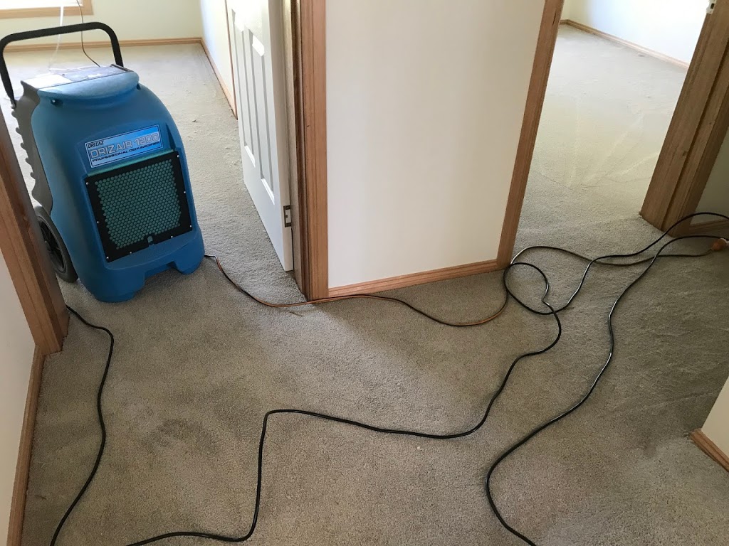 Tait Carpet Cleaning Brookfield | laundry | 146 Clarkes Rd, Brookfield VIC 3338, Australia | 0386581366 OR +61 3 8658 1366
