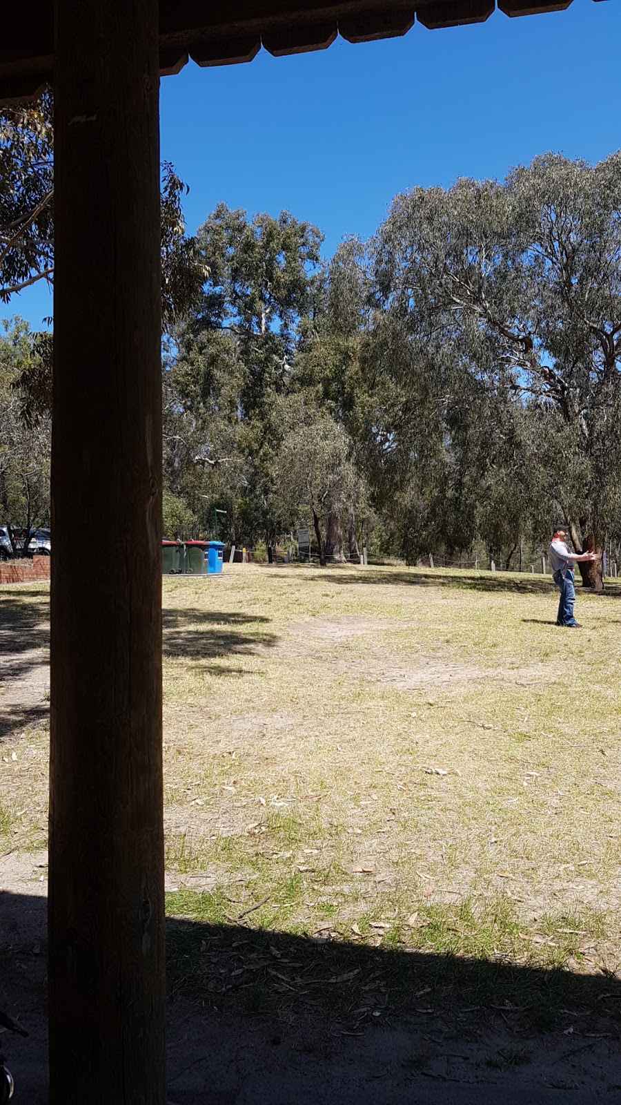 Studly Park Picnic Area | 1 Boathouse Rd, Kew VIC 3101, Australia