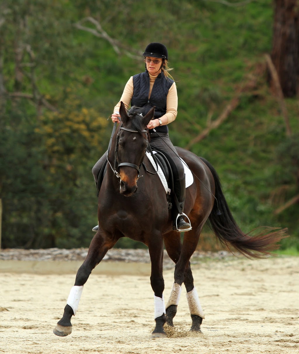Equine Encounters / Classical Riding Lessons | travel agency | Goldmans Rd, Panton Hill VIC 3759, Australia | 0411098462 OR +61 411 098 462