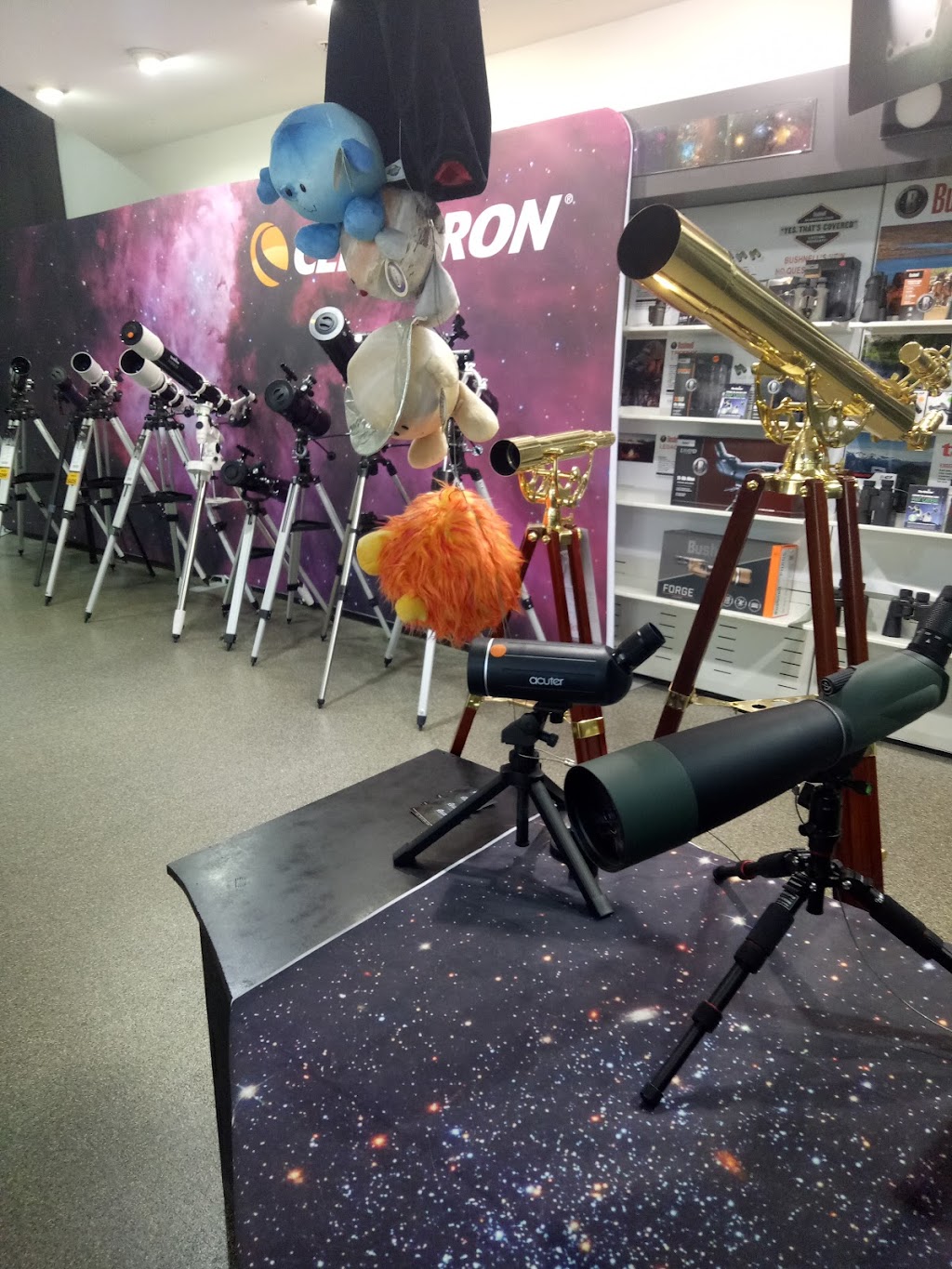 Astro Anarchy | Shop 8/700 Logan Rd, Greenslopes QLD 4120, Australia | Phone: 0412 085 224