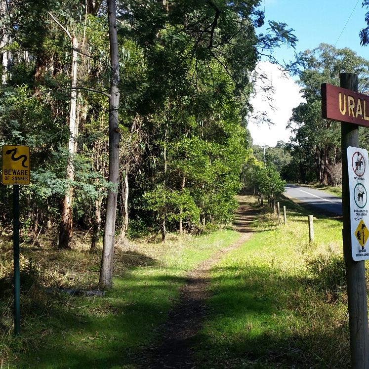 Uralla Nature Reserve | park | Trafalgar South VIC 3824, Australia