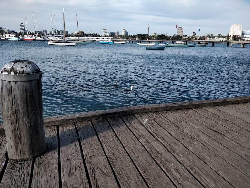 St. Kilda Pier Penguin Colony | Victoria, Australia