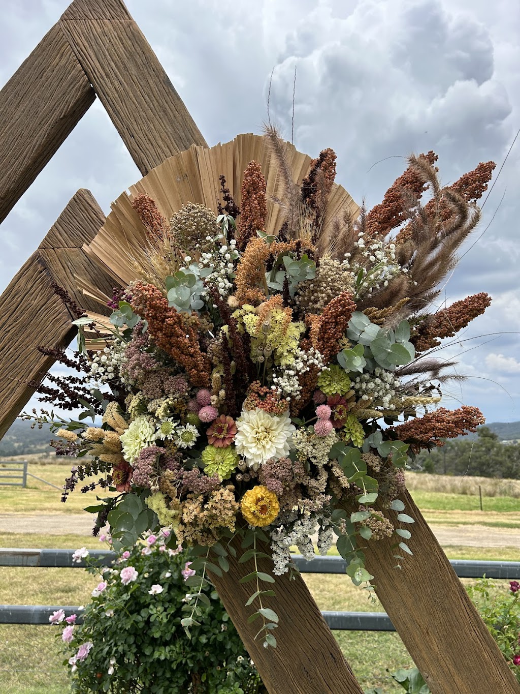 Milroy Meadows Flower Farm | Waterhouse Way, Gunnedah NSW 2380, Australia | Phone: 0437 628 630