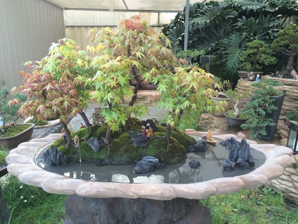 Penjing Bonsai | 4 Piedmont Cl, Endeavour Hills VIC 3802, Australia | Phone: 0470 528 160