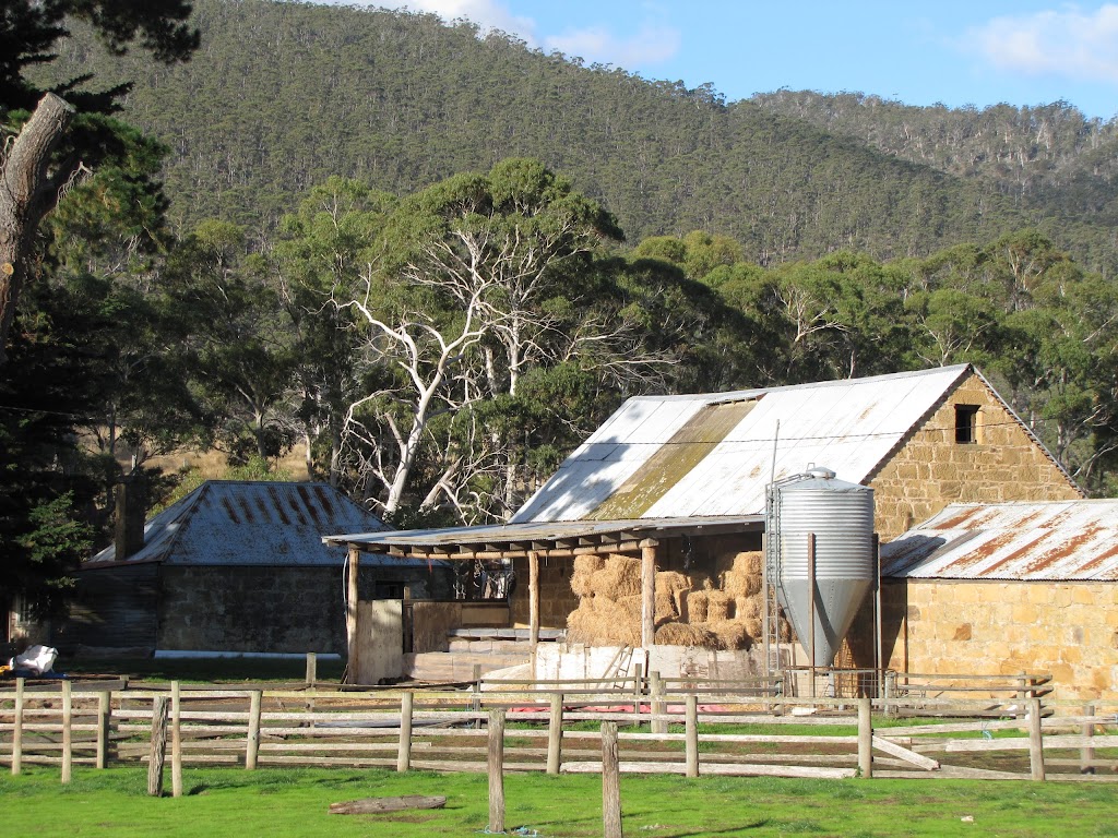 Tasmania Cherries | 503 Brown Mountain Rd, Campania TAS 7026, Australia | Phone: 0418 104 285