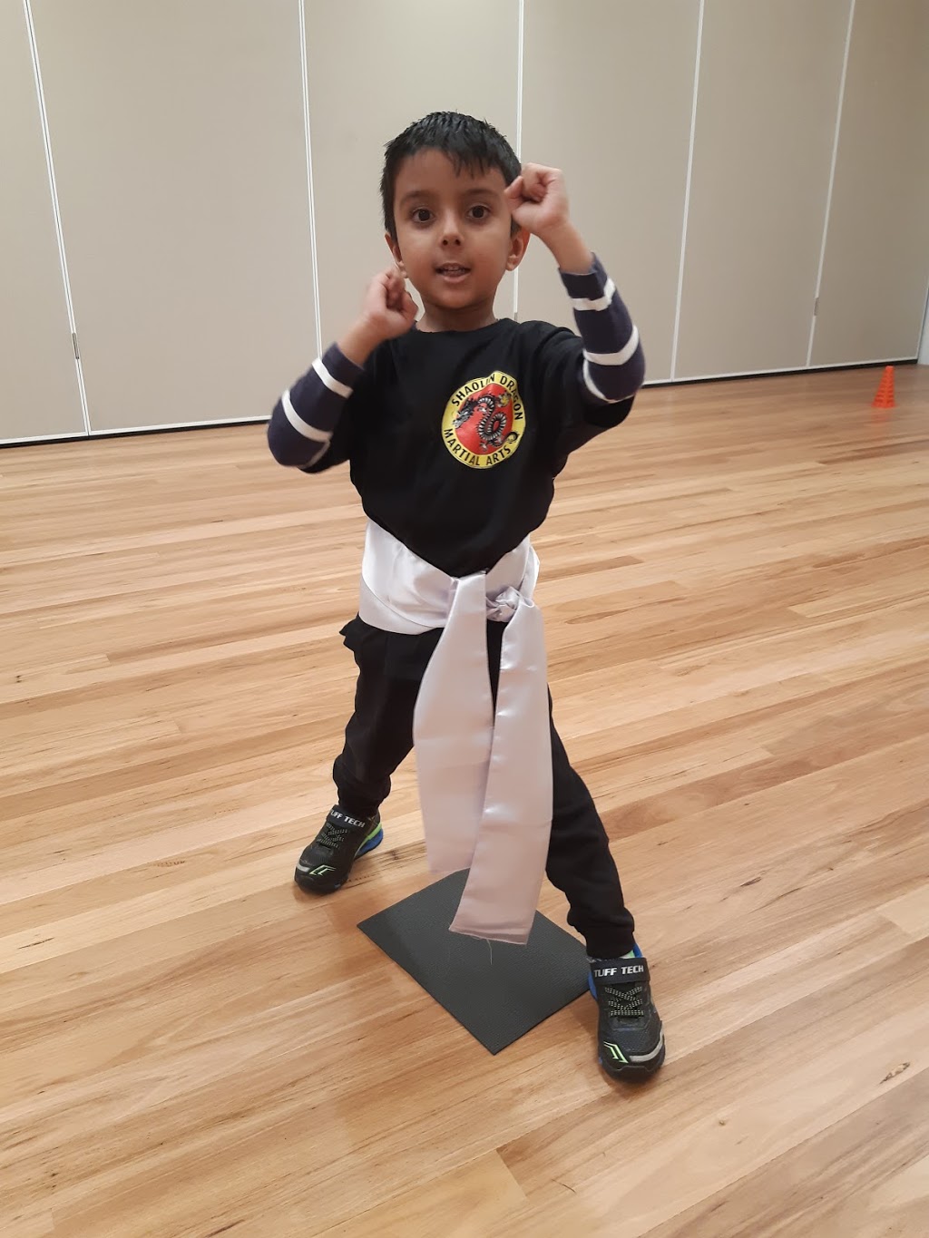 Shaolin Dragon Martial Arts | 72 Central Ave, Oran Park NSW 2570, Australia | Phone: 0418 238 568