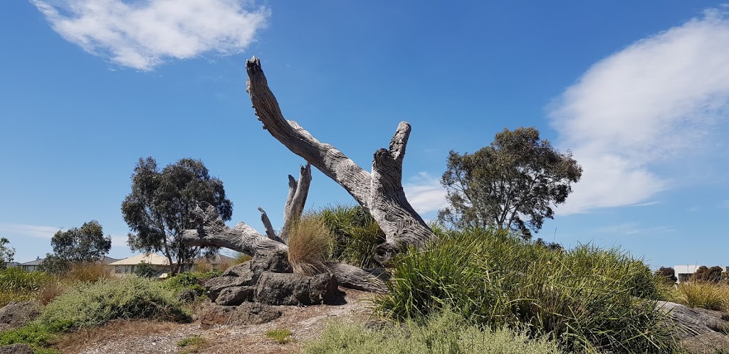 Braeside Linear Reserve | park | 33 Lake King Cir, Waterways VIC 3195, Australia