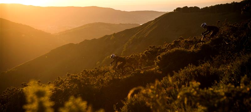 Big Mountain (MTB Shop) | bicycle store | Shop 7 / 23/25 Daisy Hill Rd, Daisy Hill QLD 4127, Australia | 0730903664 OR +61 7 3090 3664