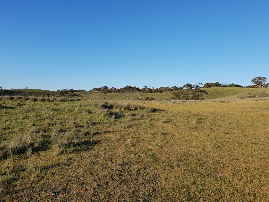 Brooks lookout | 96 Old Blyth Rd Boconnoc Park Old Blyth Rd, Boconnoc Park SA 5453, Australia