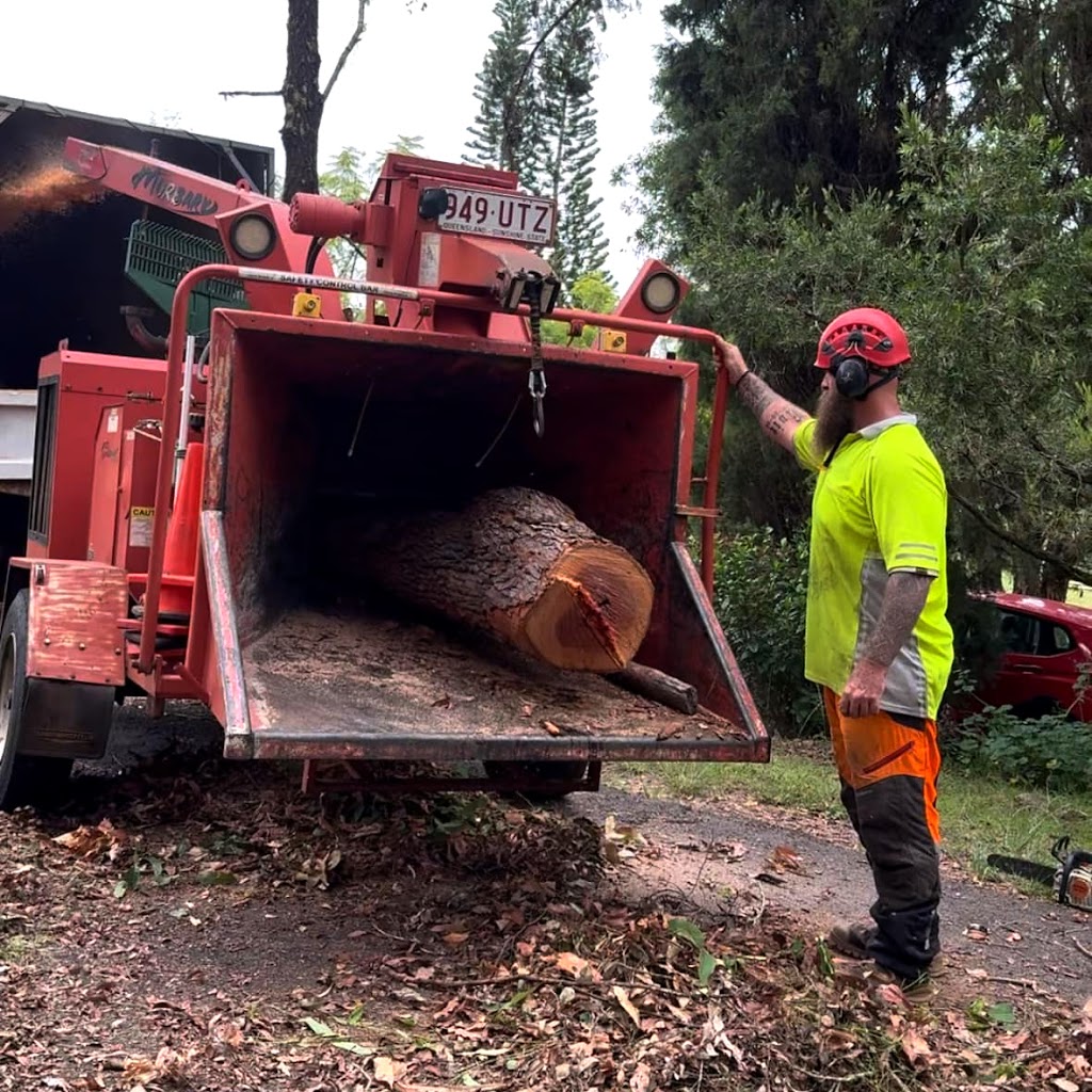 Pacific Tree Services | 31B Alexander Ln, Eltham NSW 2480, Australia | Phone: 0448 954 559