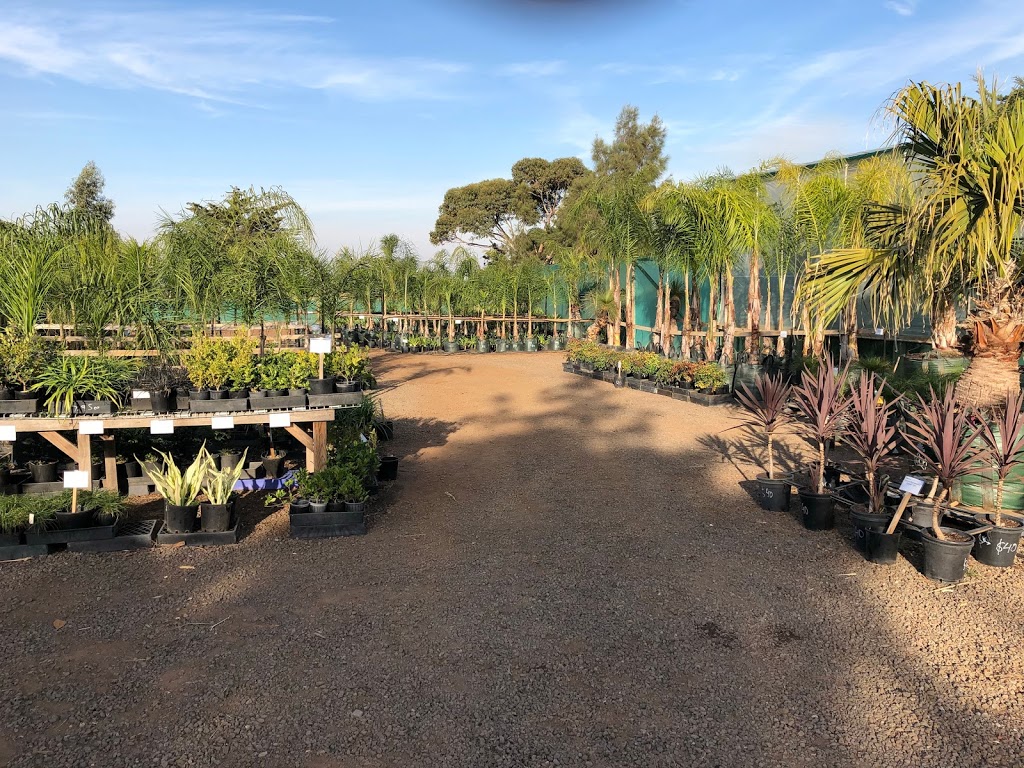 True Green Nursery | 137 Highett Rd, Melton VIC 3337, Australia | Phone: (03) 9743 5932