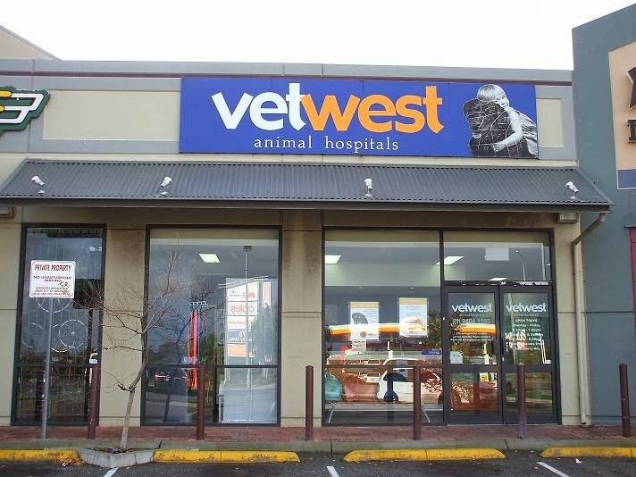 Vetwest Animal Hospitals Clarkson | veterinary care | 2/4 Bergen Way, Mindarie WA 6030, Australia | 0894041155 OR +61 8 9404 1155