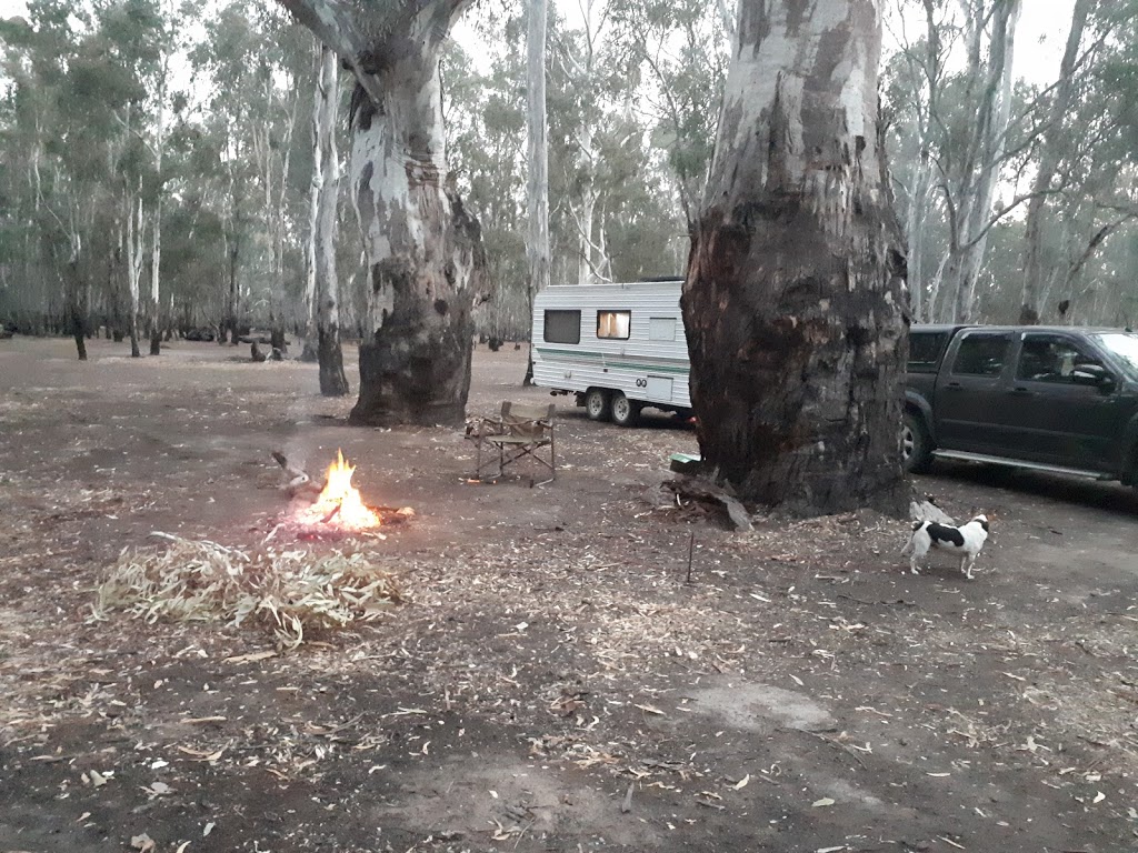 Barmah Lakes Camping and Picnic Ground | Moira Lakes Rd, Barmah VIC 3639, Australia | Phone: 13 19 63