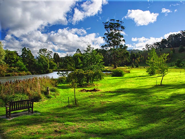 Tasmanian Arboretum | 46 Old Tramway Rd, Eugenana TAS 7310, Australia | Phone: (03) 6427 2690