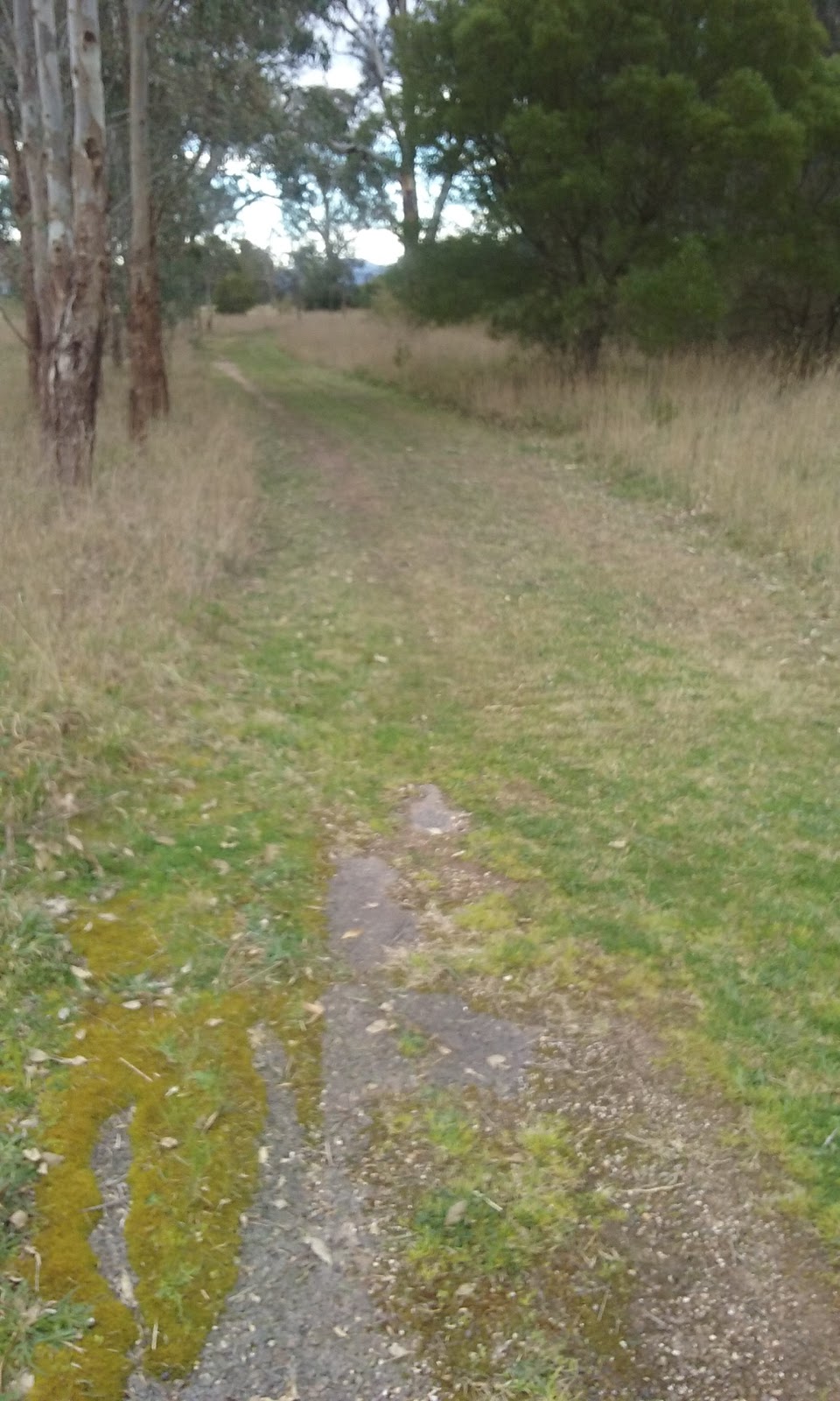 Bellbird Corner Riverside Reserve | Sandy Creek Rd, Maffra VIC 3860, Australia