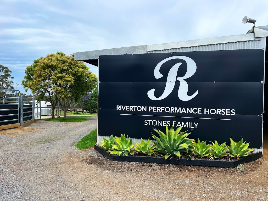 Riverton Performance Horses | 40 Bobs Range Rd, Orangeville NSW 2570, Australia | Phone: 0408 333 659