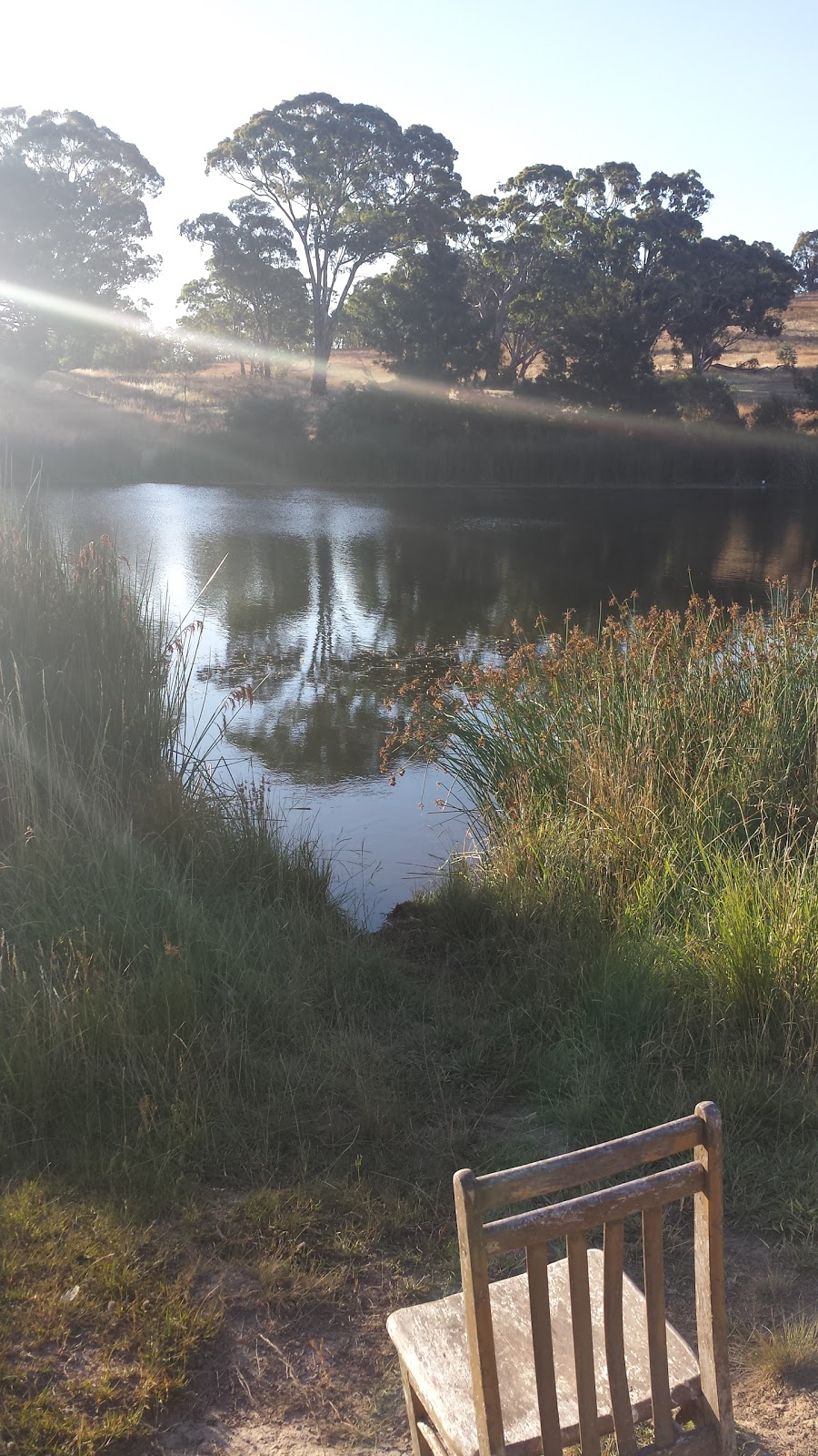 Amaroo Pond | park | Gungahlin ACT 2912, Australia