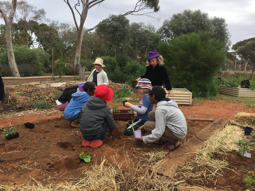 Kalgoorlie Boulder Community Garden Inc | park | 39 Memorial Dr, West Lamington WA 6430, Australia | 0422995728 OR +61 422 995 728