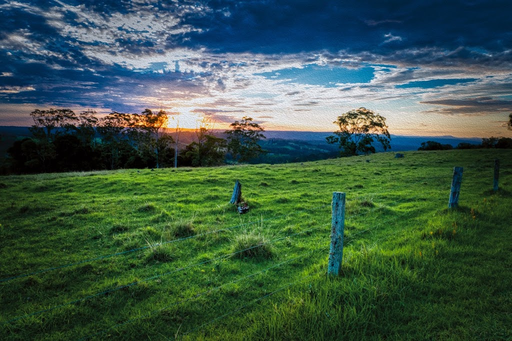 Venus & Harley Studio | 13 Marion St, Pechey QLD 4352, Australia | Phone: 0419 916 769