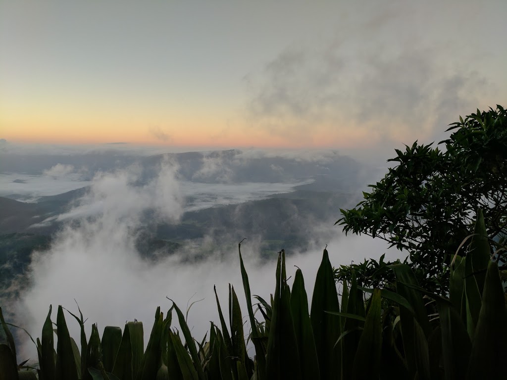 Wollumbin National Park (Mount Warning) | park | Mount Warning Rd, Mount Warning NSW 2484, Australia | 0266708600 OR +61 2 6670 8600