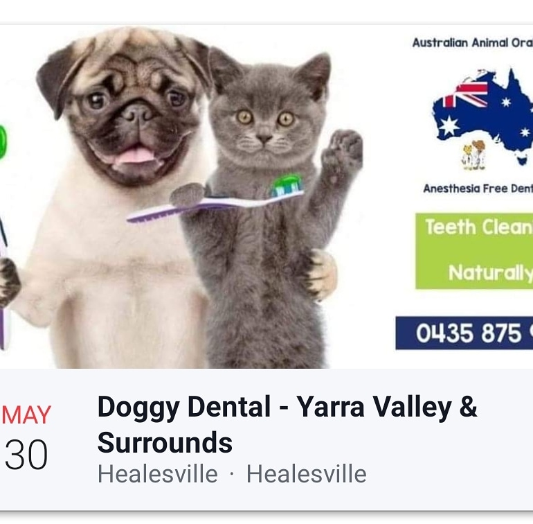 Australian Animal Oral Care |  | 17 River Rd, Millgrove VIC 3799, Australia | 0435875960 OR +61 435 875 960
