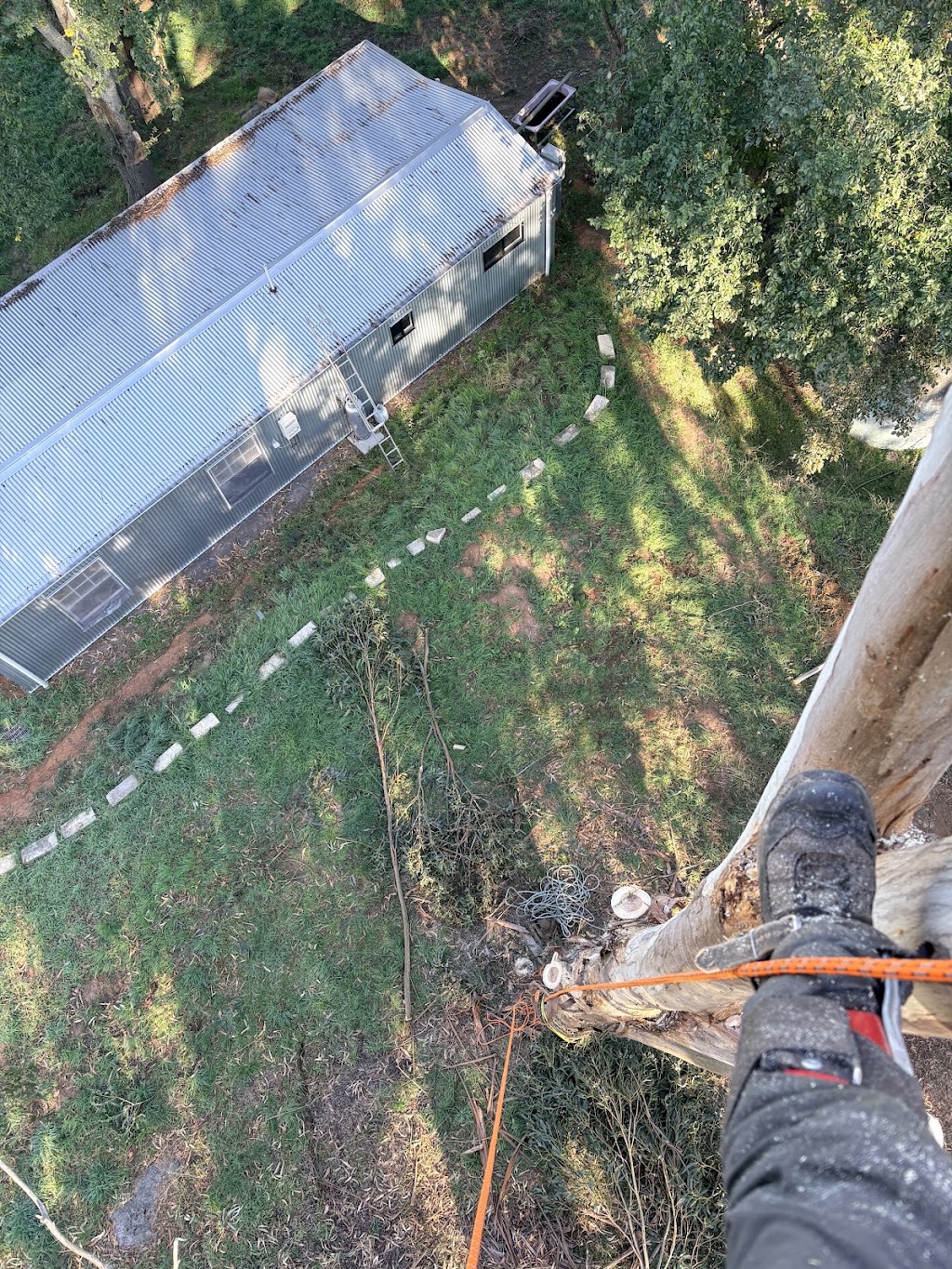 High Plains Tree Care | Steens Rd, Boho South VIC 3669, Australia | Phone: 0467 088 248
