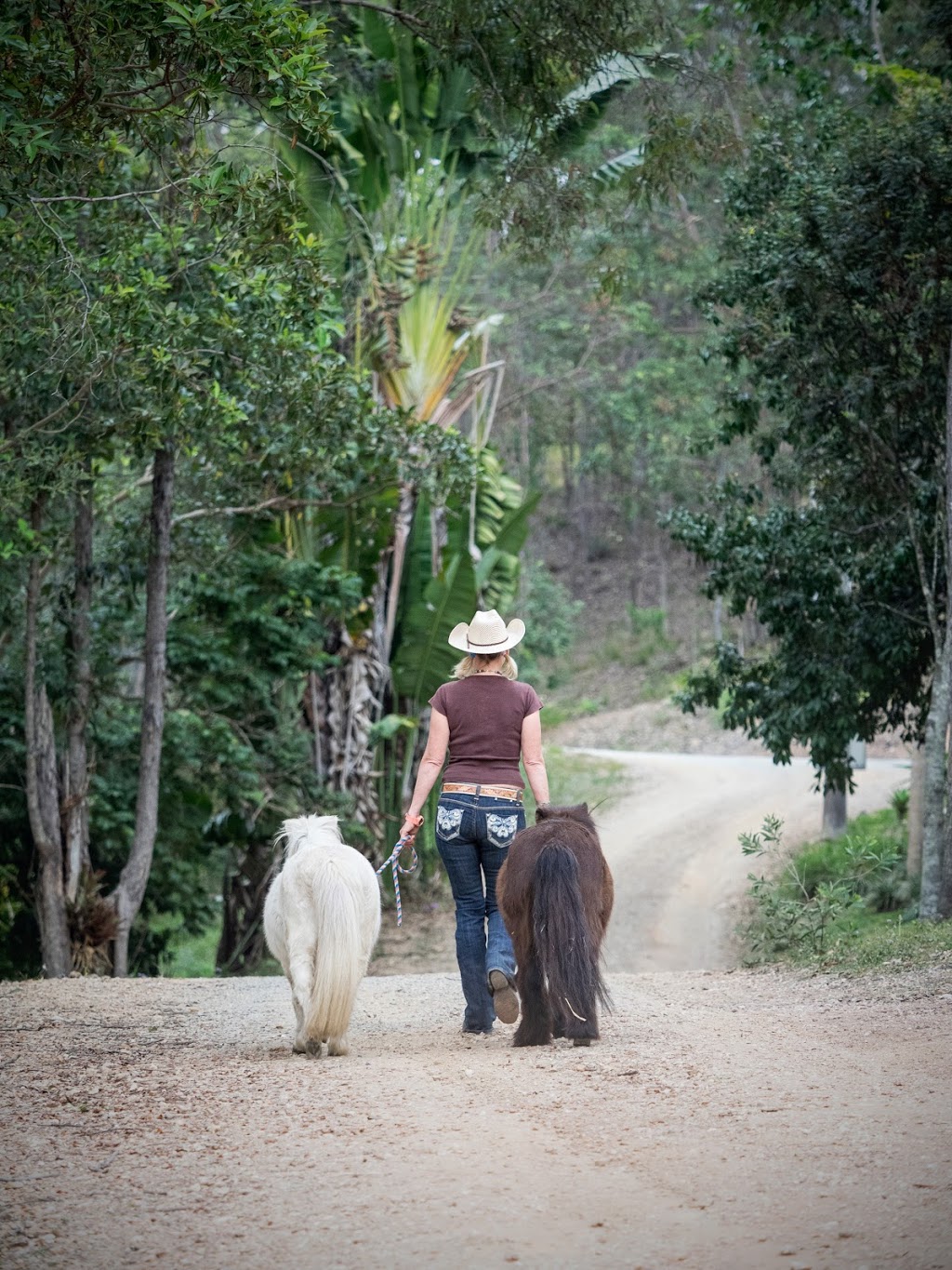 Gale Falcongreen Horsemanship & Equine Assisted Therapy | 926 Bunya Rd, Draper QLD 4520, Australia | Phone: 0411 264 060