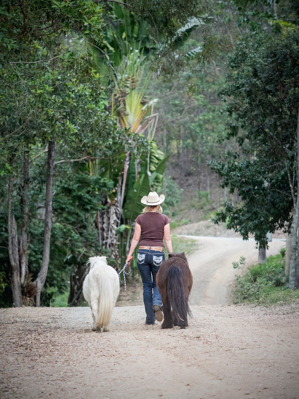 Gale Falcongreen Horsemanship & Equine Assisted Therapy | health | 926 Bunya Rd, Draper QLD 4520, Australia | 0411264060 OR +61 411 264 060